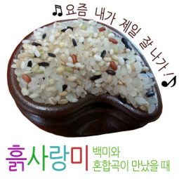 [흙사랑미] 맛있는 혼합곡쌀(자취생,캠핑,가정에서,답례품추천)1kg/3kg