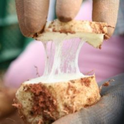 (유기농둥근마)울퉁불퉁 못난이 알뜰마 5kg/10kg