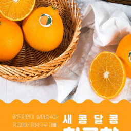 황금향3kg (가정용 9과~12과 내외)