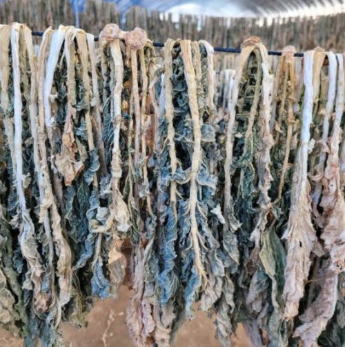 [햇무청 건시래기] 시래기전용 무청을 자연건조한 시래기 1kg