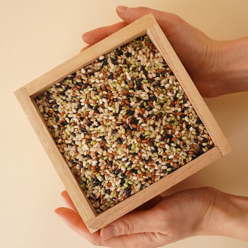 2024년산 오색현미2kg/오색현미3kg/찰홍미2kg/찰녹미2kg/찰흑미2kg/찰현미2kg/현미2kg/(1kg씩 소포장) - 이미지 3