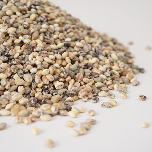2025년산 유색보리2kg/청보리2kg/찰보리3kg/자색보리2kg/검정보리2kg/(1kg씩 소포장) - 이미지 7
