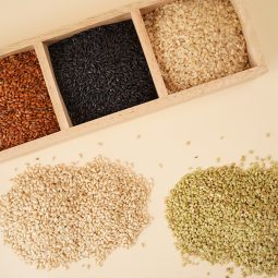 2024년산 오색현미2kg/오색현미3kg/찰홍미2kg/찰녹미2kg/찰흑미2kg/찰현미2kg/현미2kg/(1kg씩 소포장)