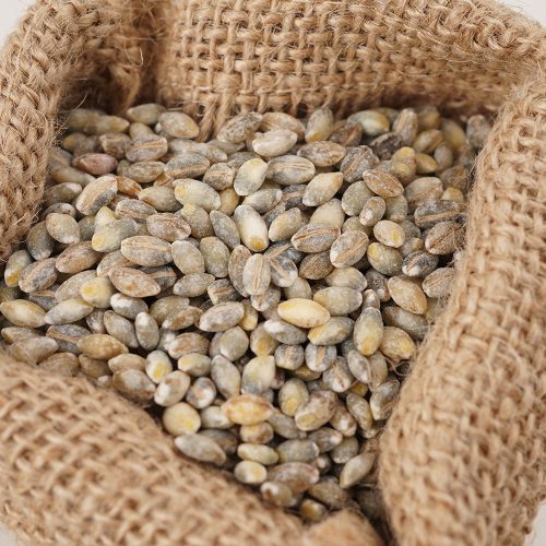 2025년산 유색보리2kg/청보리2kg/찰보리3kg/자색보리2kg/검정보리2kg/(1kg씩 소포장) - 이미지 4