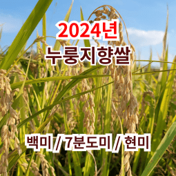 [2024년 누룽지향쌀] 십리향 향미 누룽지쌀 백미 / 7분도미(쌀눈쌀) / 현미