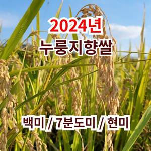 [2024년 누룽지향쌀] 십리향 향미 누룽지쌀 백미 / 7분도미(쌀눈쌀) / 현미