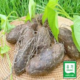 (유기농둥근마)예쁘게 생긴 상품 1kg/3kg/5kg