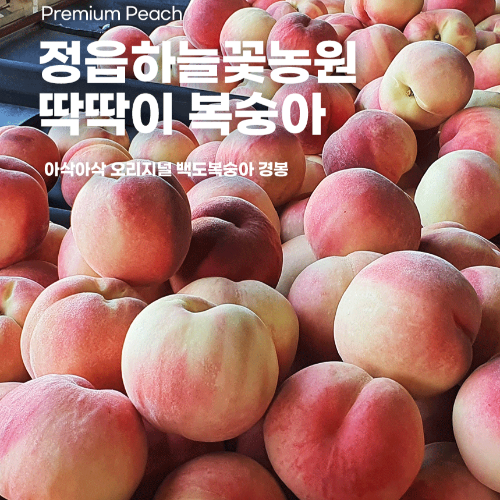 [예약판매] 딱딱이복숭아(경봉) 4kg(12~13과)