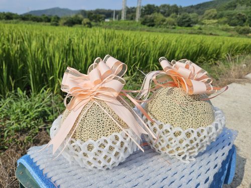 [2025추석] 달콤한 인생 프리미엄 메론세트 2수 (±5kg) - 이미지 3
