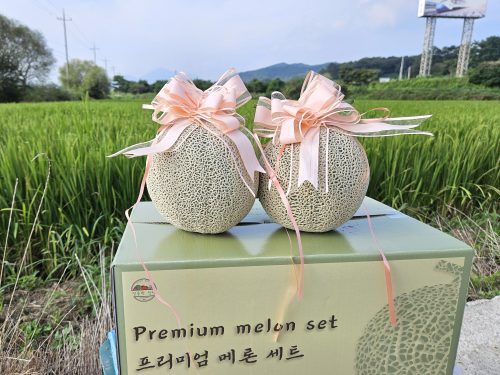 [2025추석] 달콤한 인생 프리미엄 메론세트 2수 (±5kg) - 이미지 2