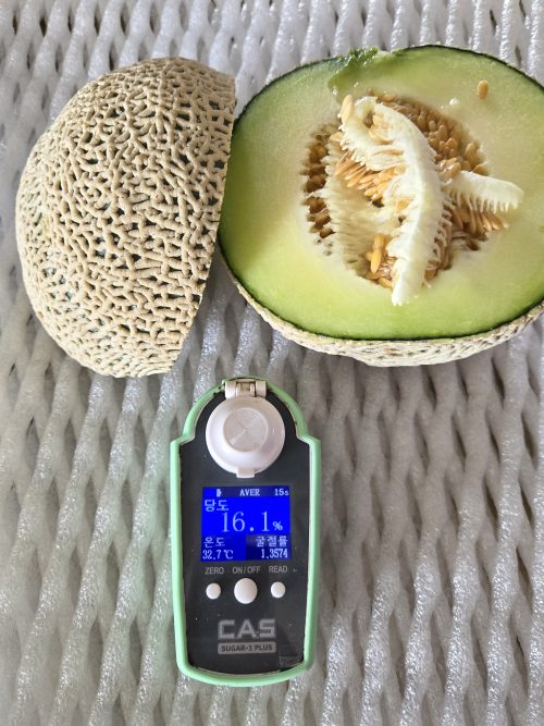 [2025추석] 달콤한 인생 프리미엄 메론세트 2수 (±5kg) - 이미지 5