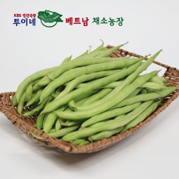투이네베트남채소농장 그린빈 2kg