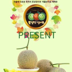 꽃길만걸어요 멜론