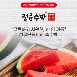 정읍 단풍미인 흑수박(7kg)