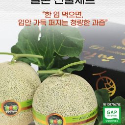 [2026추석]꽃길만걸어요 멜론(메론)