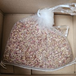 26년산 우량 대서 마늘 주아 씨앗 종구 파종 재배 생산용 100g 소 중
